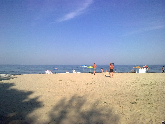 img00041.jpg