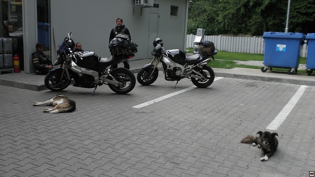 img00079.jpg