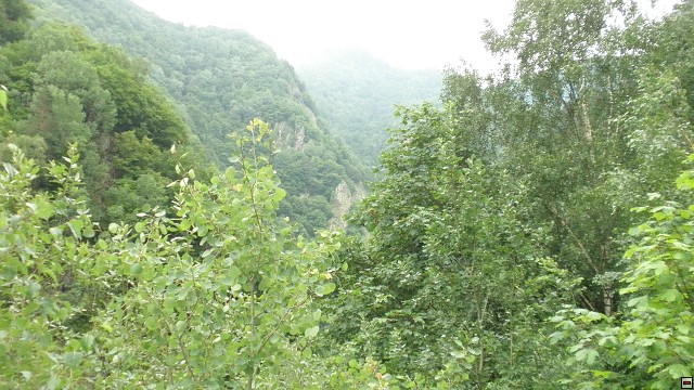 img00081.jpg