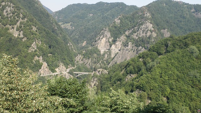 img00090.jpg