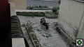 thn00060.jpg