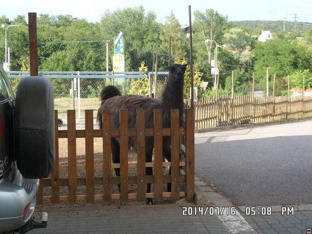 img00044.jpg