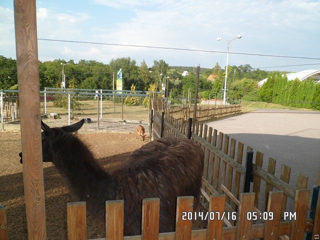img00047.jpg