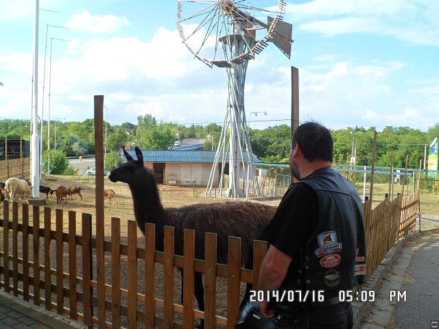 img00048.jpg