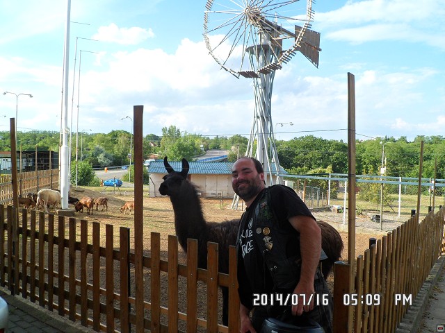 img00049.jpg