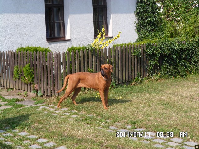 img00091.jpg