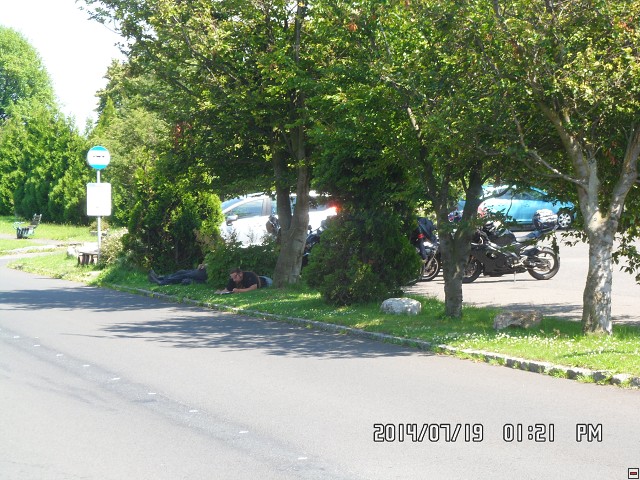 img00159.jpg