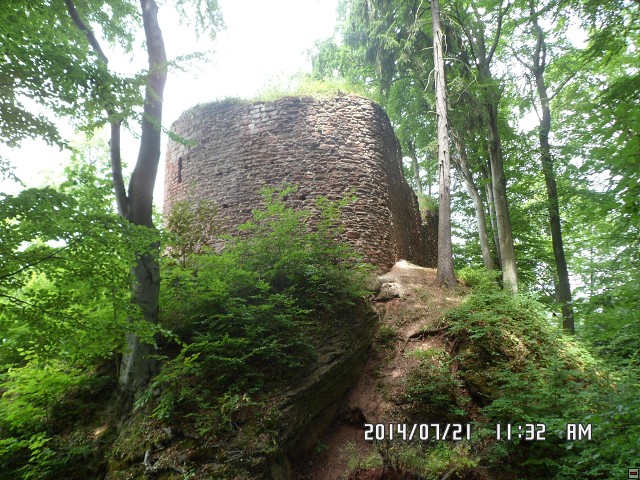 img00181.jpg
