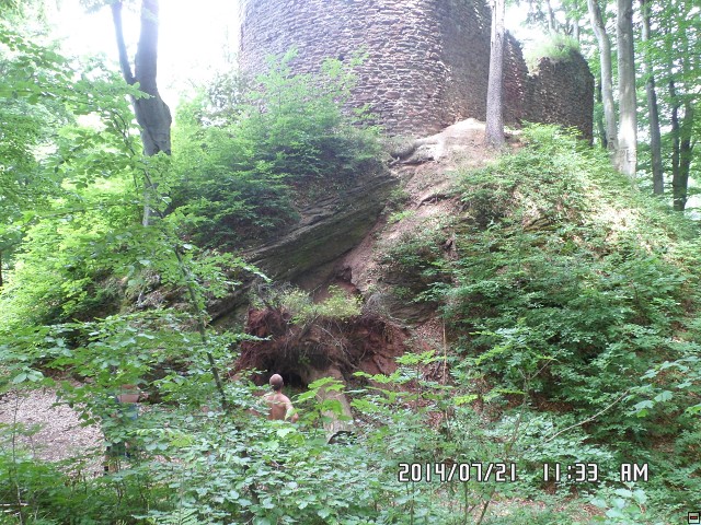 img00182.jpg