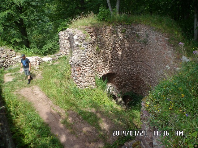 img00184.jpg