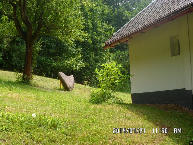 img00187.jpg