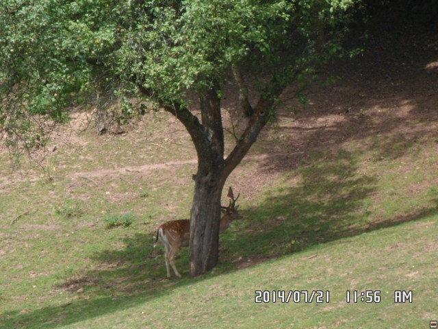 img00190.jpg