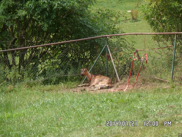 img00192.jpg