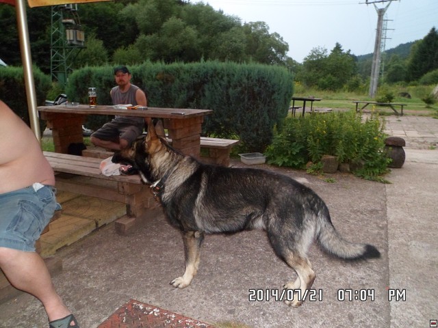 img00199.jpg