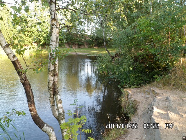 img00217.jpg