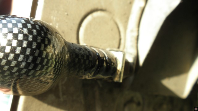 img00033.jpg