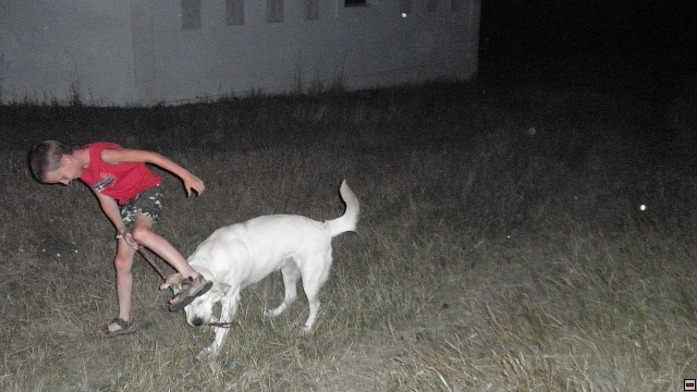 img00042.jpg