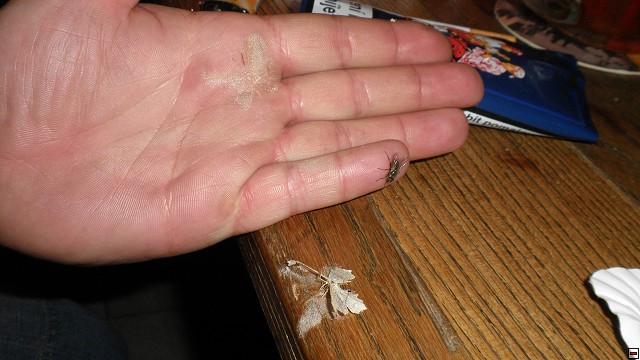 img00044.jpg