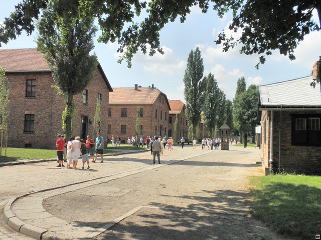 img00080.jpg