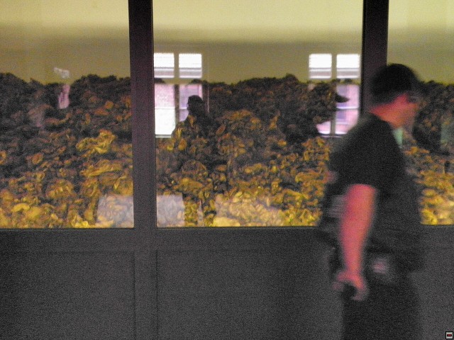 img00086.jpg