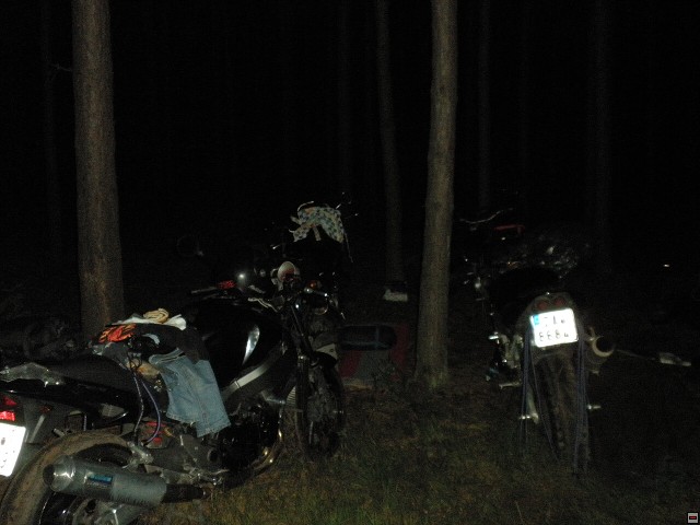 img00103.jpg