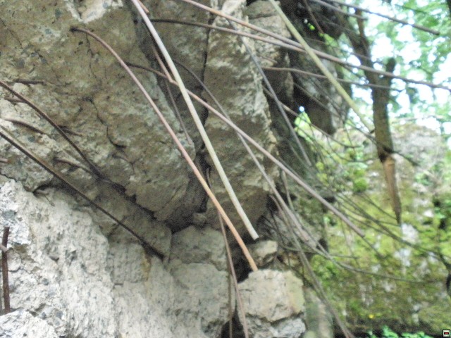 img00128.jpg