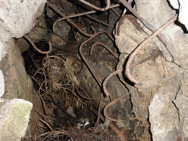 img00130.jpg