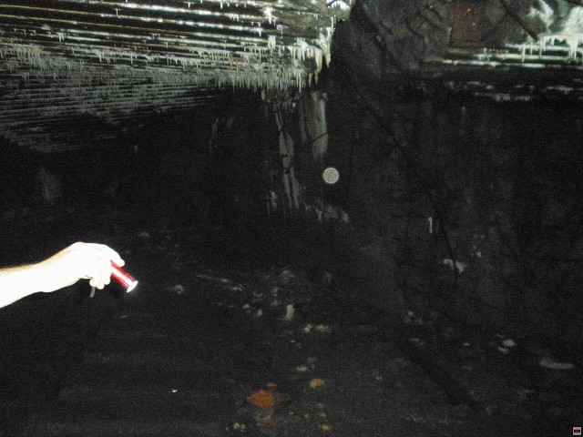 img00131.jpg
