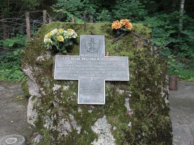 img00132.jpg