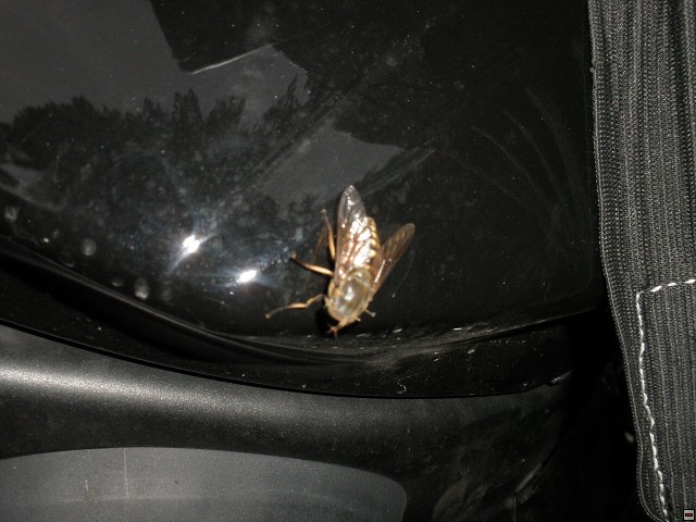 img00134.jpg