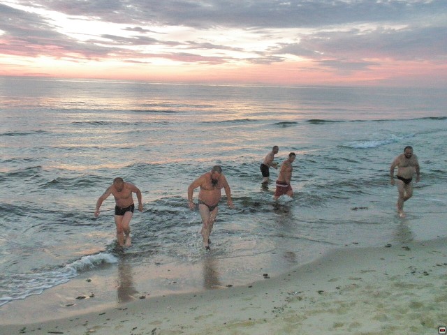 img00176.jpg