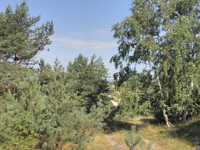 img00178.jpg