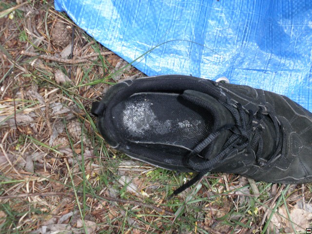 img00201.jpg