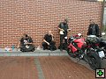thn00157.jpg