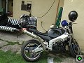 thn00216.jpg