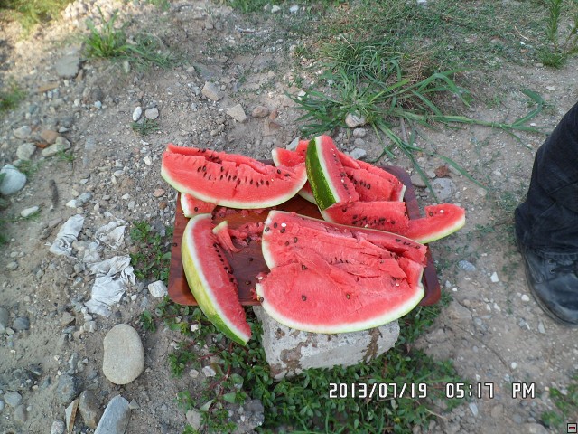 img00074.jpg