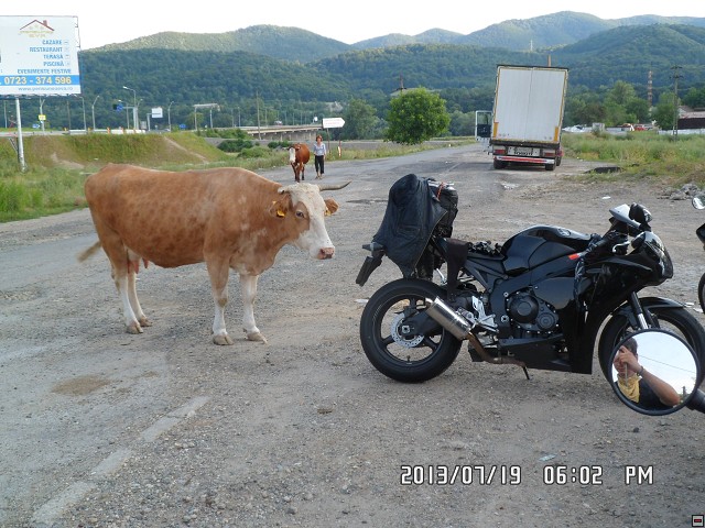 img00081.jpg