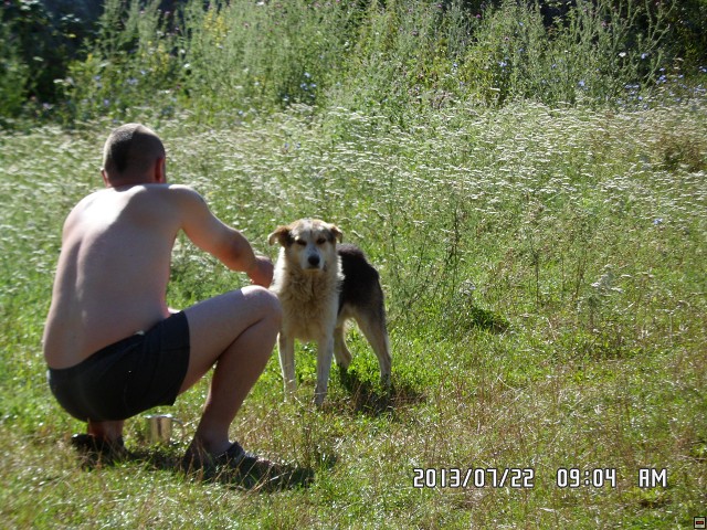 img00153.jpg