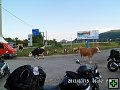 thn00080.jpg