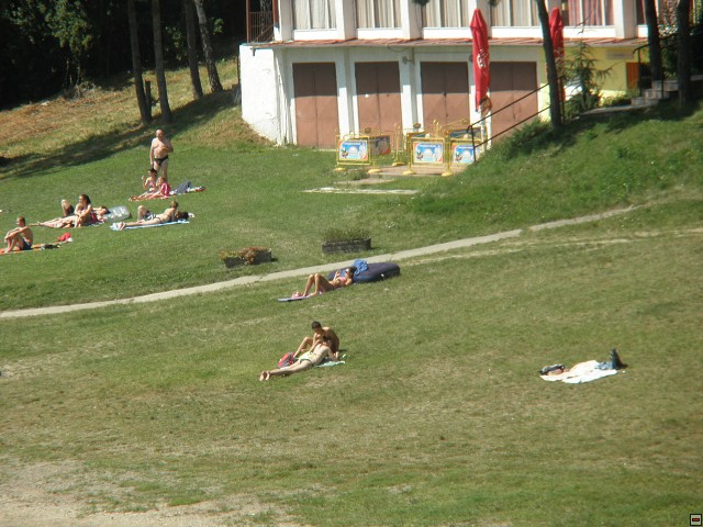 img00050.jpg