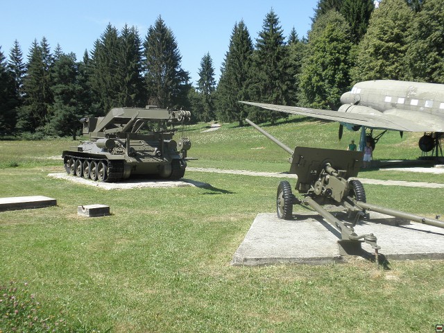 img00061.jpg