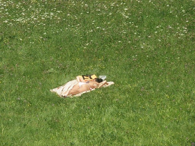 img00068.jpg