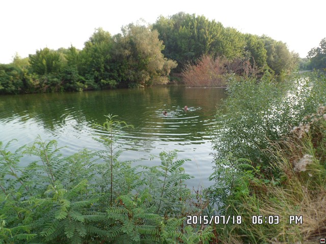 img00072.jpg