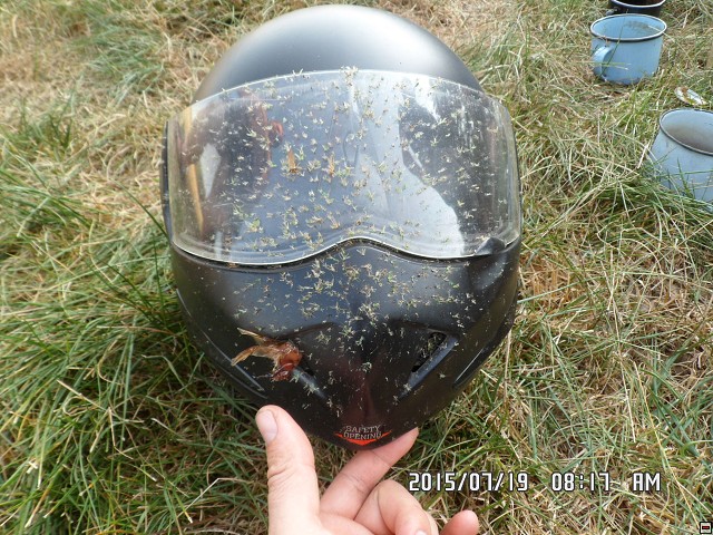 img00080.jpg
