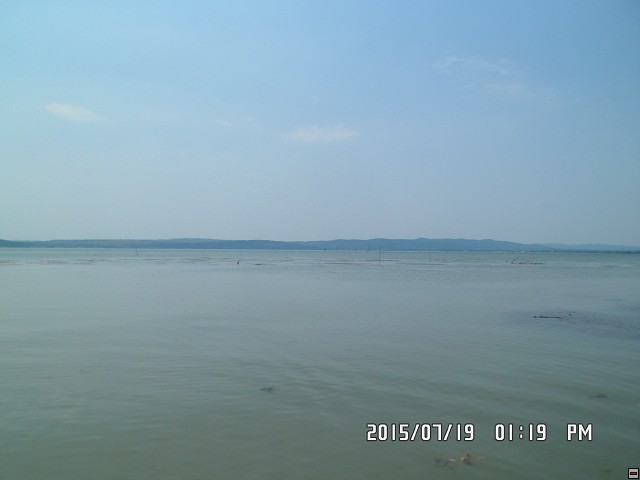 img00090.jpg