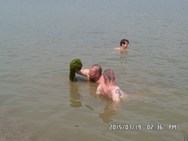 img00110.jpg