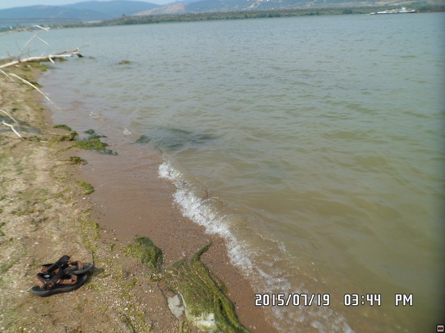 img00119.jpg