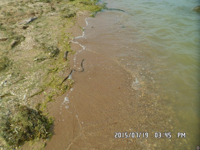img00120.jpg