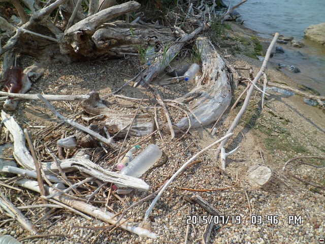 img00123.jpg
