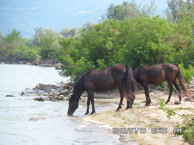 img00124.jpg
